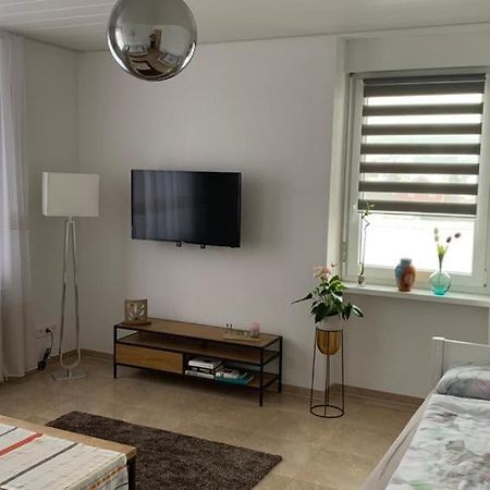 Grenznahe Ferienwohnung Mit 4 Schlafzimmern Grenzach-Wyhlen Extérieur photo