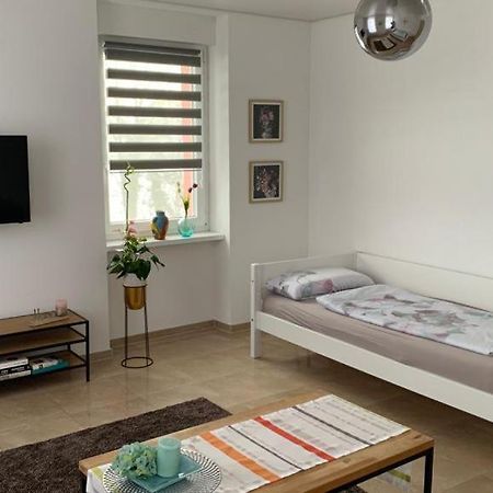 Grenznahe Ferienwohnung Mit 4 Schlafzimmern Grenzach-Wyhlen Extérieur photo