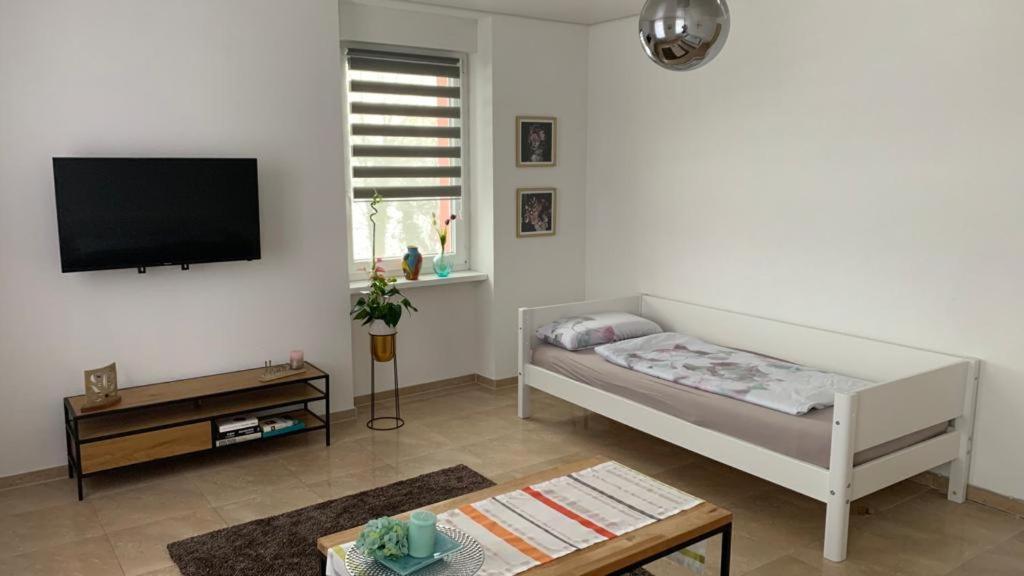 Grenznahe Ferienwohnung Mit 4 Schlafzimmern Grenzach-Wyhlen Extérieur photo